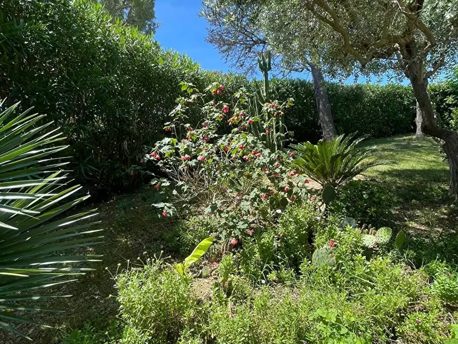 Immagine 14 di Villa in vendita  in Via del Taunus 33 a Ancona