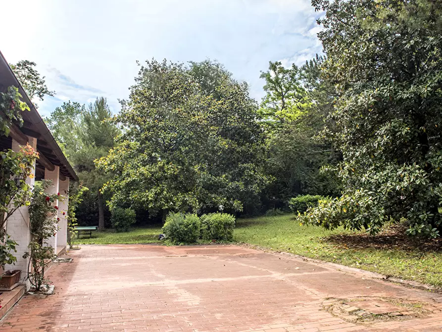 Immagine 43 di Rustico / casale in vendita  in OFFAGNA a Offagna
