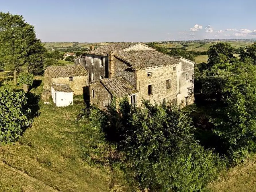Immagine 3 di Rustico / casale in vendita  in CASTEL LEONE DI SUASA a Ostra Vetere