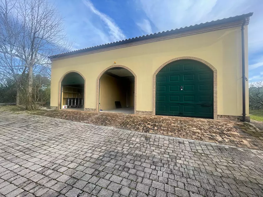 Immagine 12 di Rustico / casale in vendita  in morrovalle a Morrovalle