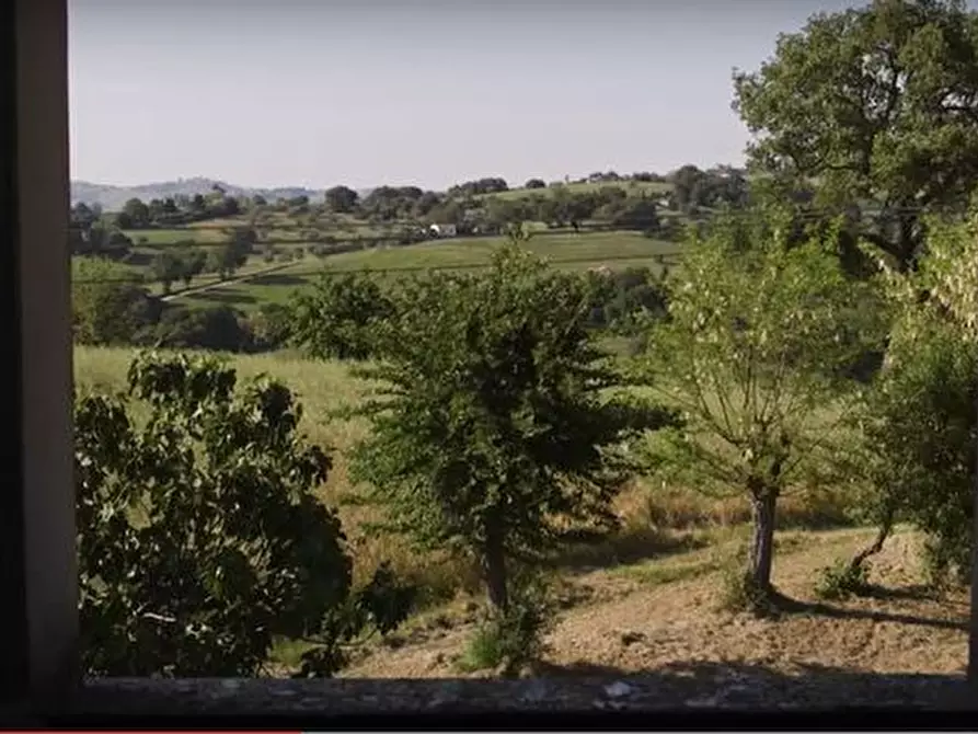 Immagine 14 di Rustico / casale in vendita  in CASTEL LEONE DI SUASA a Ostra Vetere