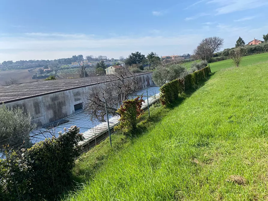 Immagine 13 di Attività artigianale in vendita  a Sirolo