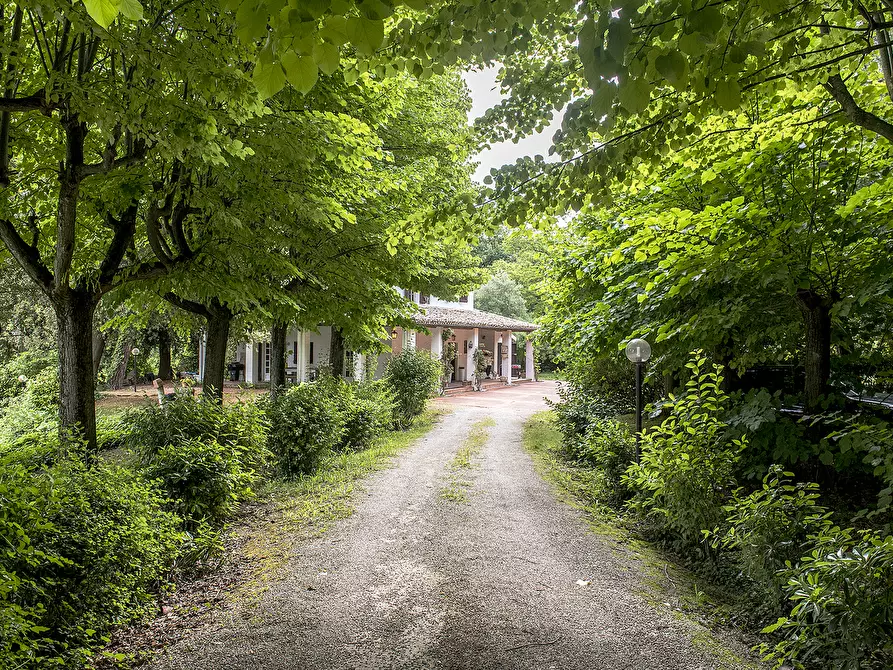 Immagine 45 di Rustico / casale in vendita  in OFFAGNA a Offagna