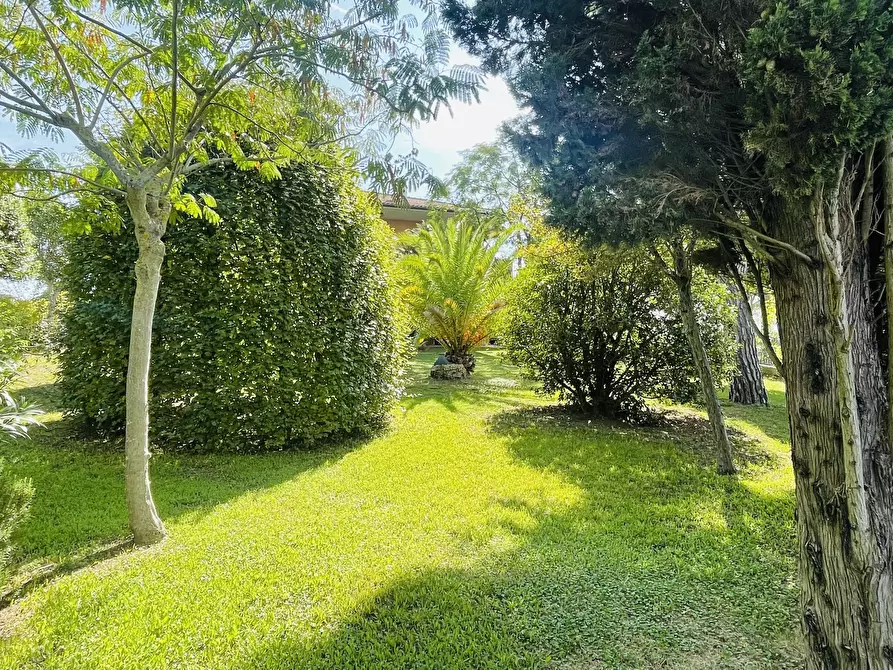 Immagine 22 di Villa in vendita  in Via Cagiata a Osimo