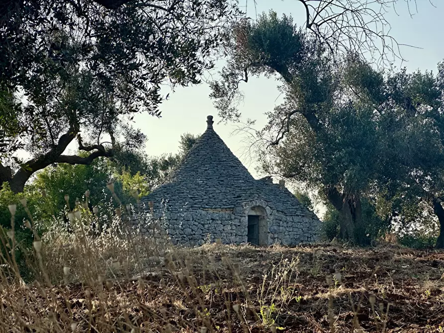 Immagine 28 di Terreno edificabile in vendita  a Ceglie Messapico