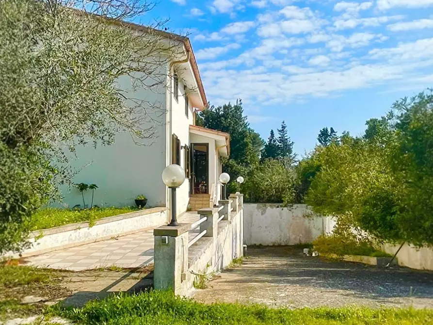 Immagine 25 di Villa in vendita  in strada provinciale 39 a Maglie