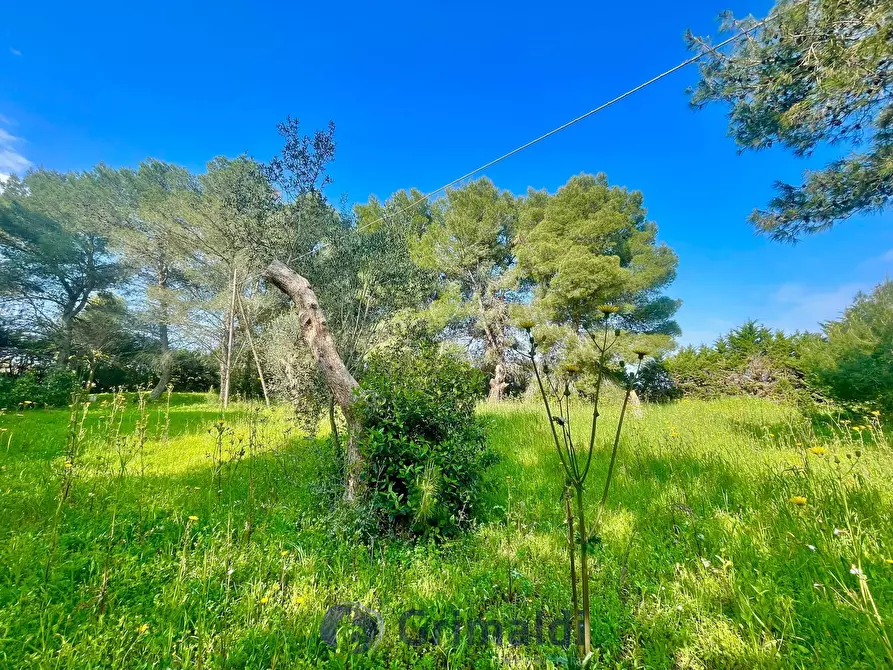 Immagine 31 di Villa in vendita  in strada provinciale 39 a Maglie