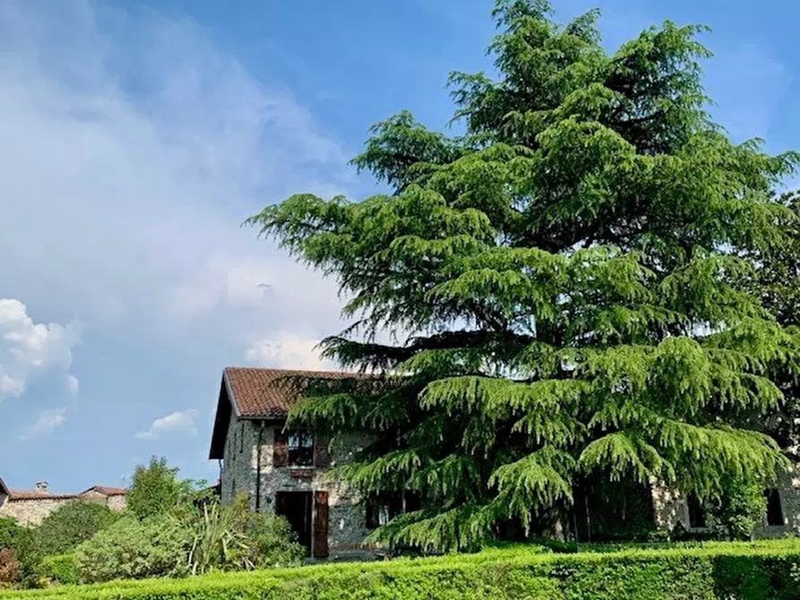 Immagine 10 di Terratetto in vendita  in Via Umberto I 16 a Orsenigo