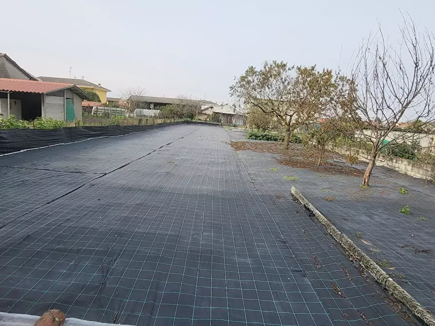 Immagine 19 di Casa indipendente in vendita  a Villata