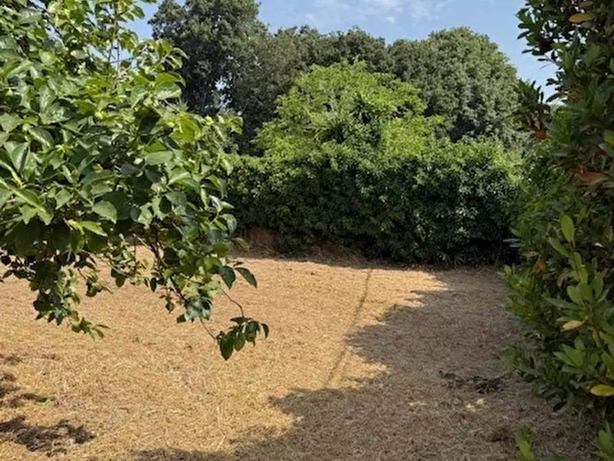 Immagine 3 di Terreno edificabile in vendita  in Via Viminale a Nettuno