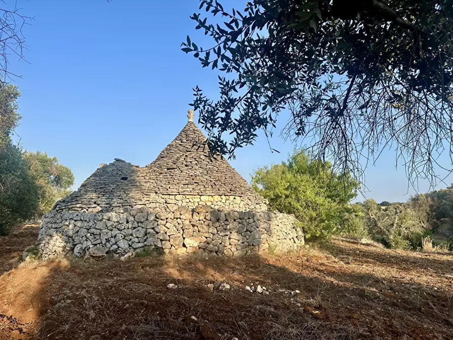 Immagine 25 di Terreno edificabile in vendita  a Ceglie Messapico