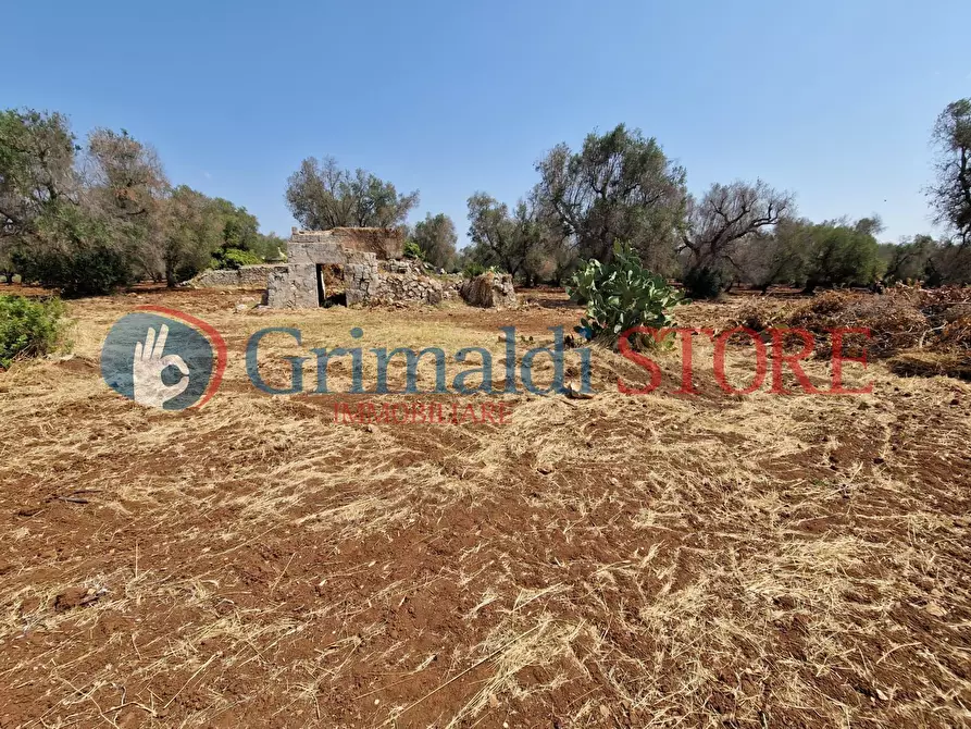 Immagine 21 di Casa indipendente in vendita  a San Vito Dei Normanni