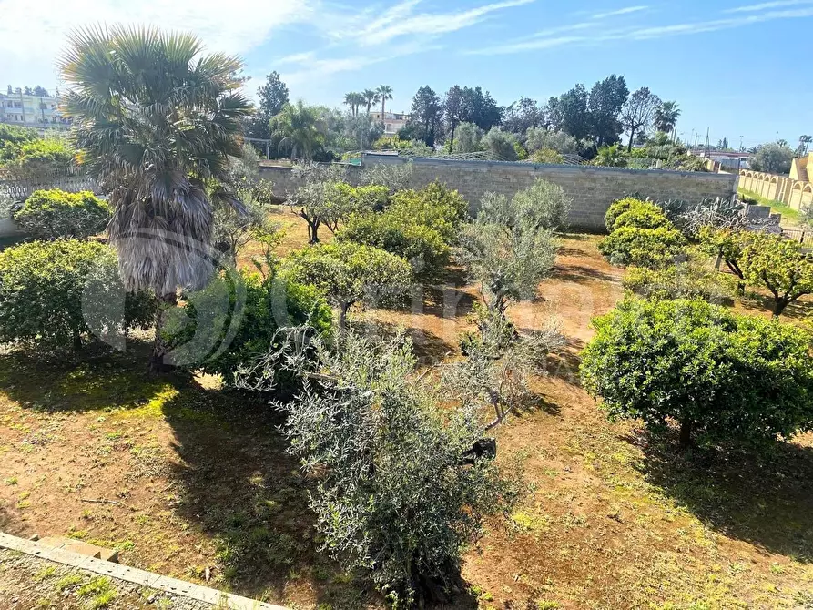 Immagine 5 di Villa in vendita  in strada provinciale 361 a Gallipoli