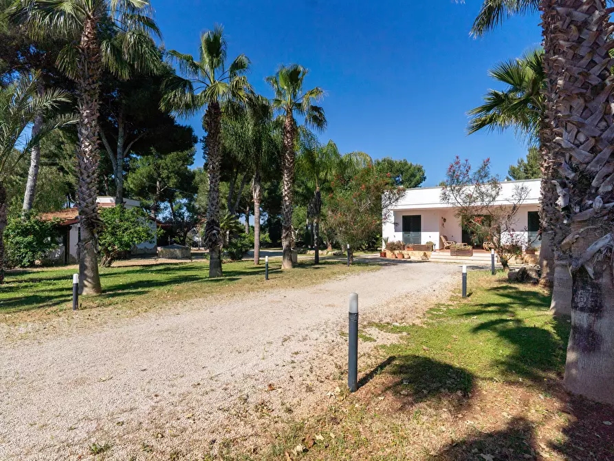 Immagine 5 di Villa in vendita  in Via Taverna 21 a Nardo'