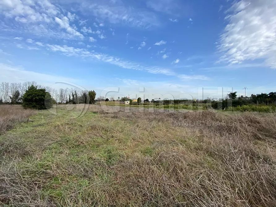 Immagine 2 di Terreno agricolo in affitto  a Giugliano In Campania