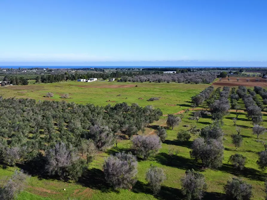 Immagine 59 di Villa in vendita  in Contrada Montestazzo 1 a Carovigno