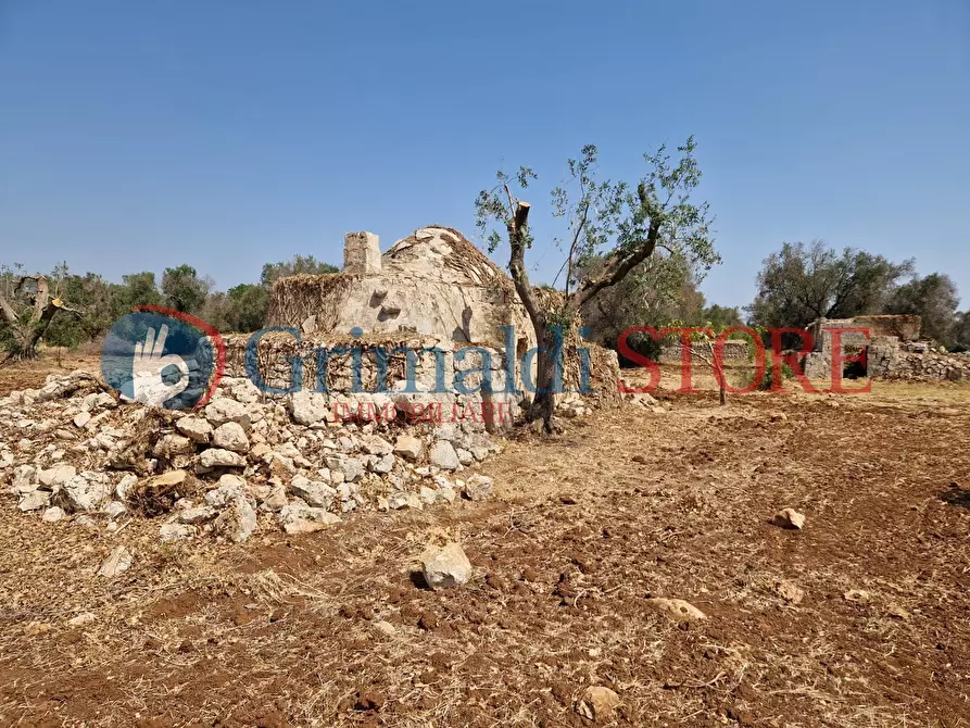Immagine 7 di Casa indipendente in vendita  a San Vito Dei Normanni