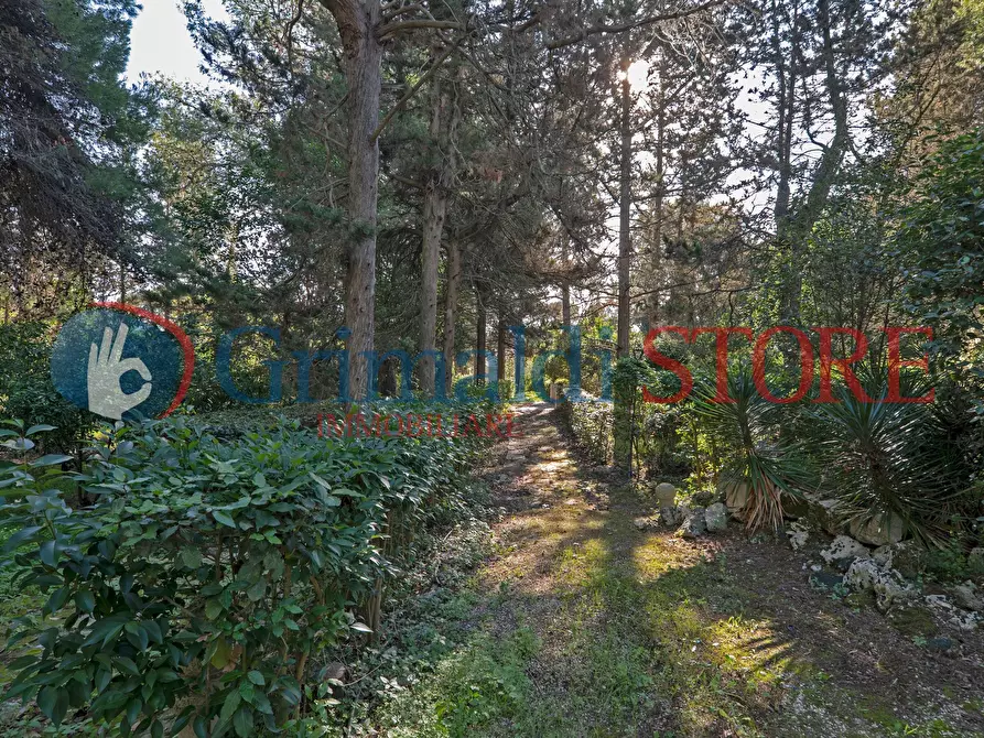 Immagine 83 di Villa in vendita  in Via San Fili 110 a Monteroni Di Lecce