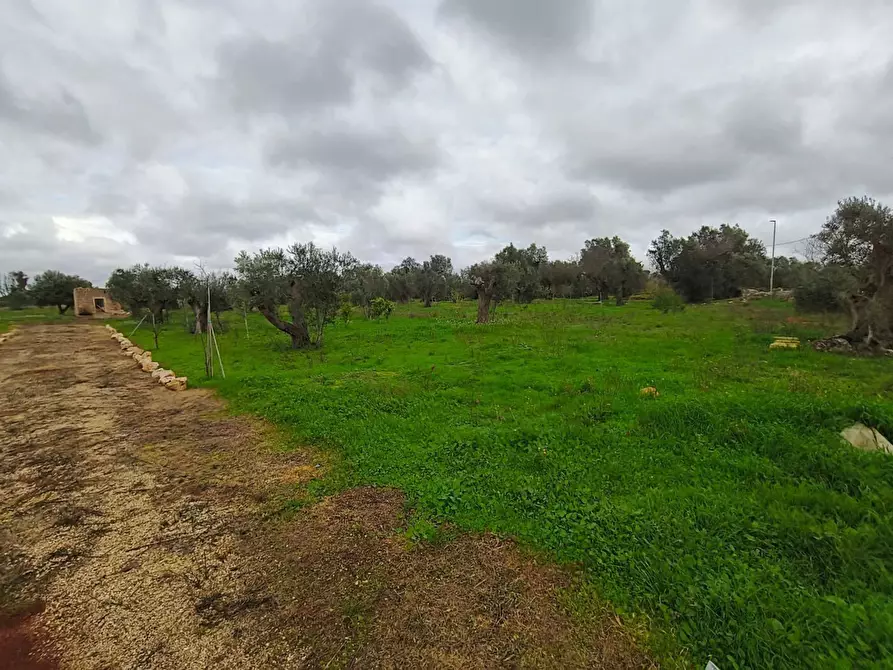 Immagine 7 di Terreno edificabile in vendita  in Contrada Curlo snc a Sannicola