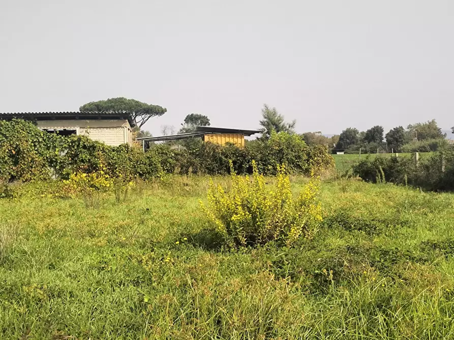 Immagine 12 di Terreno agricolo in vendita  in Via Lago di Sirino a Nettuno