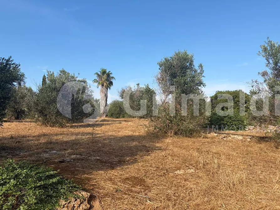 Immagine 25 di Terreno agricolo in vendita  in Contrada Coline a Alezio