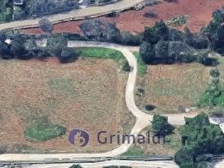 Immagine 21 di Magazzino in vendita  in Via Solano Li Belli 47 a Lequile