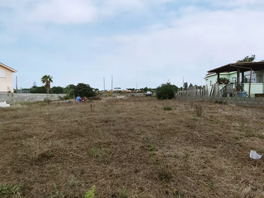Immagine 4 di Terreno agricolo in vendita  in Via della Campana a Anzio
