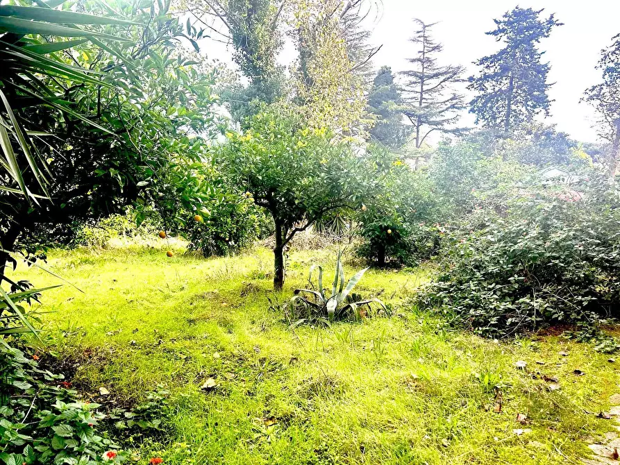Immagine 5 di Appartamento in vendita  in Via Flacca 123 a Fondi