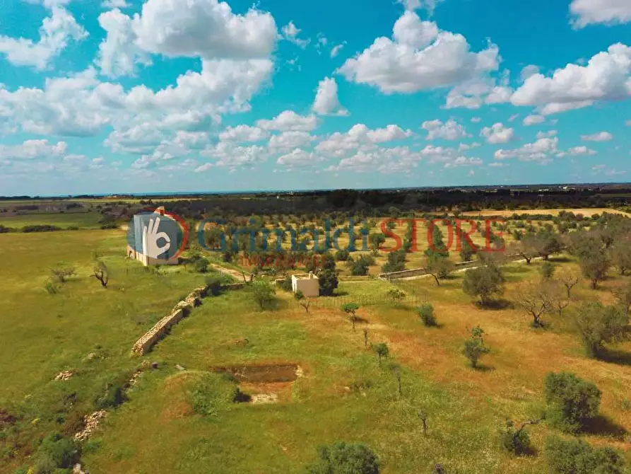 Immagine 6 di Rustico / casale in vendita  in Strada Provinciale 112 a Nardo'