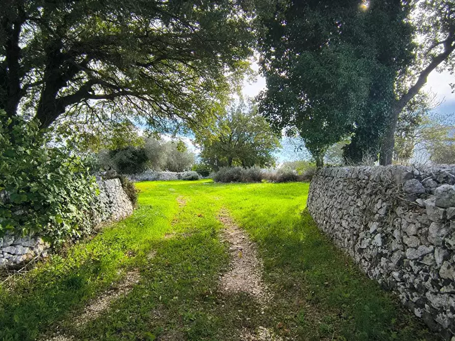 Immagine 20 di Casa indipendente in vendita  in Contrada zecca a Monopoli