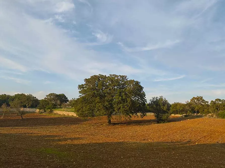Immagine 22 di Casa indipendente in vendita  in Contrada zecca a Monopoli