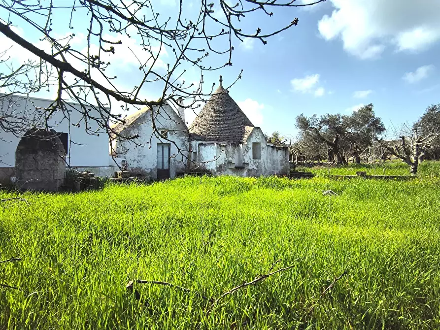 Immagine 6 di Casa indipendente in vendita  in Contrada Ciporrelli a Monopoli