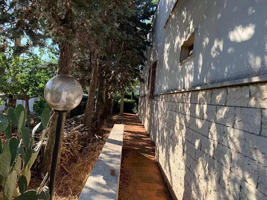 Immagine 10 di Villa in vendita  in Contrada Gorgofreddo a Monopoli