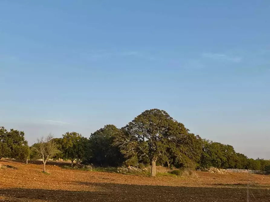 Immagine 21 di Casa indipendente in vendita  in Contrada zecca a Monopoli