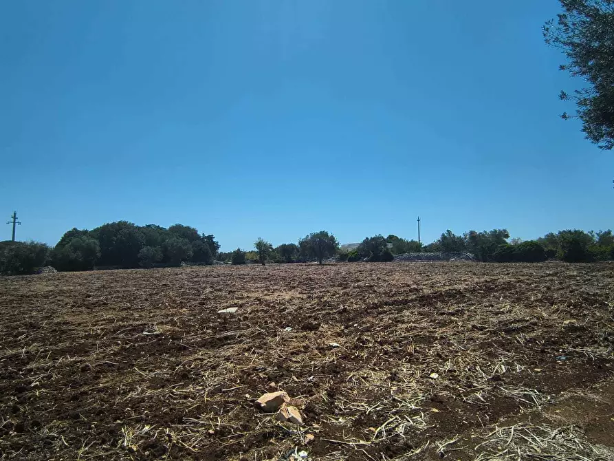 Immagine 5 di Rustico / casale in vendita  in Contrada Marinesca a Polignano A Mare