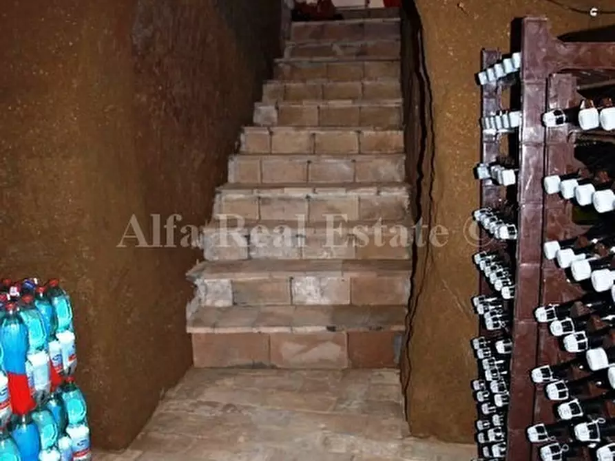 Immagine 8 di Villa in vendita  in Via Maiolata 54 a Porano