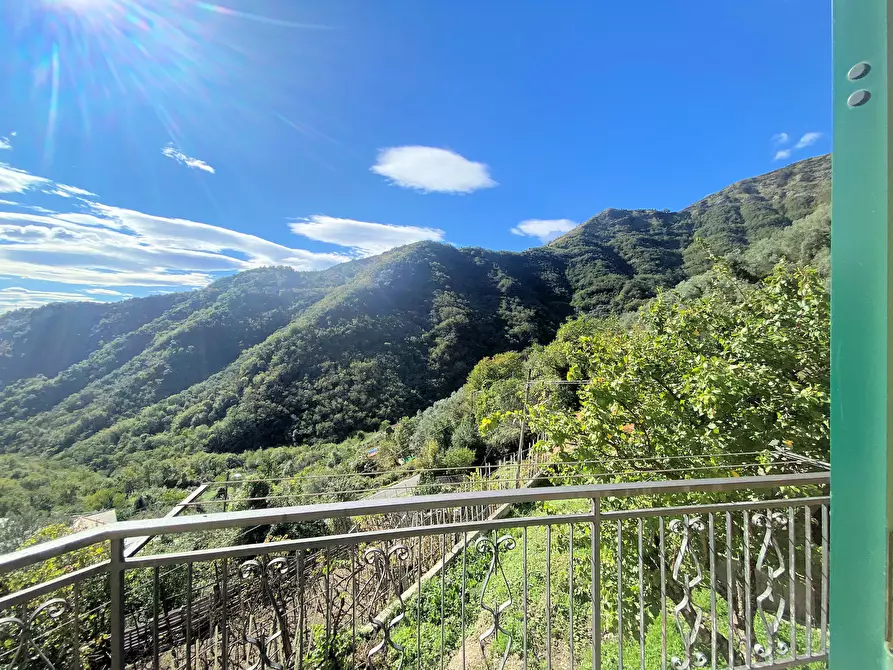 Immagine 38 di Casa bifamiliare in vendita  in Via alla Località Castagnola 66 a Sori