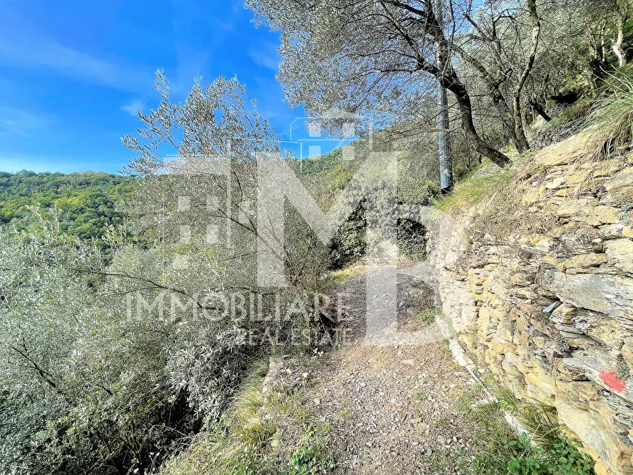 Immagine 6 di Rustico / casale in vendita  in Via Verzemma 31 a Recco