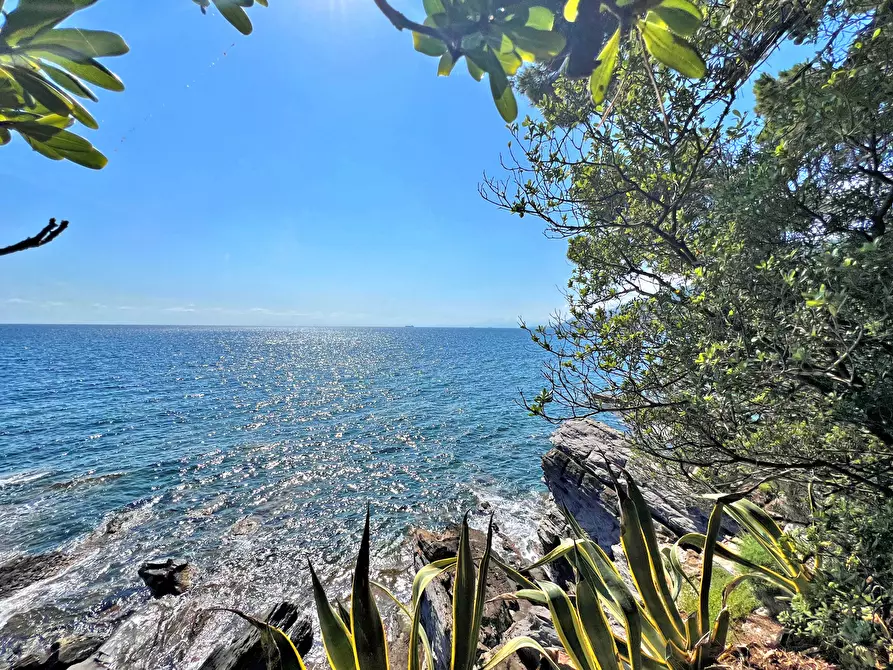 Immagine 3 di Casa indipendente in vendita  a Recco