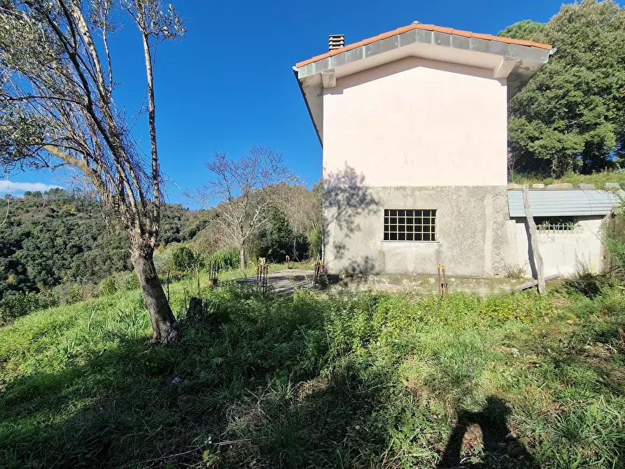 Immagine 7 di Rustico / casale in vendita  a Sarzana