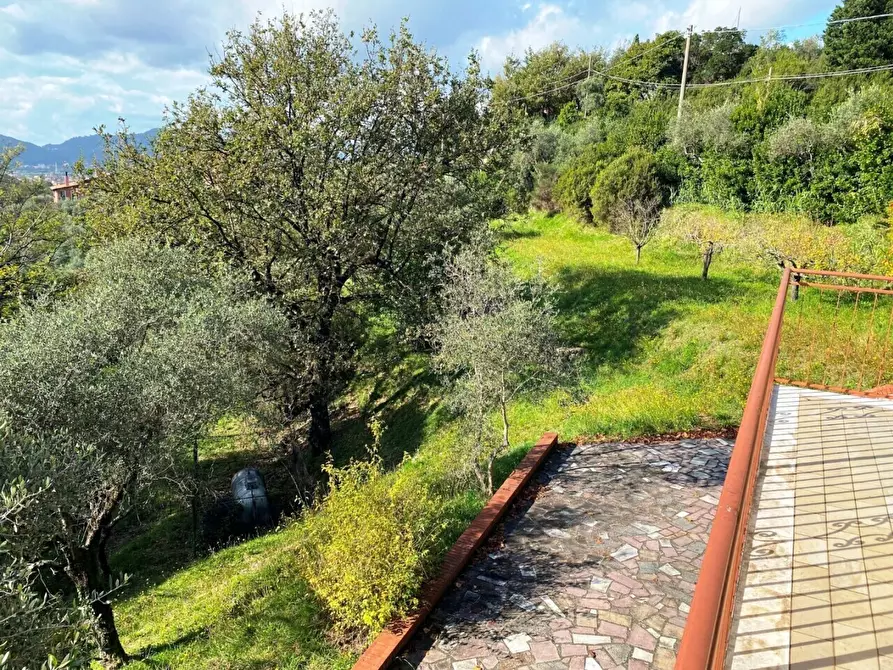 Immagine 17 di Casa indipendente in vendita  a Sarzana