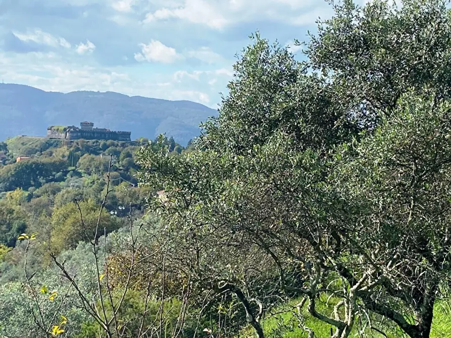 Immagine 5 di Casa indipendente in vendita  a Sarzana
