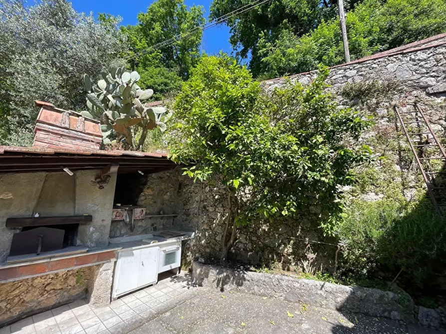 Immagine 7 di Rustico / casale in vendita  a Camaiore