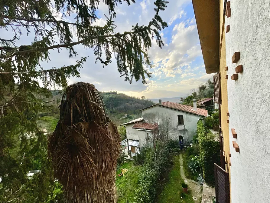 Immagine 17 di Porzione di casa in vendita  a Pietrasanta