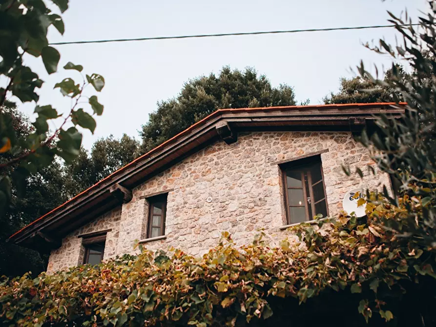 Immagine 31 di Rustico / casale in affitto  a Camaiore