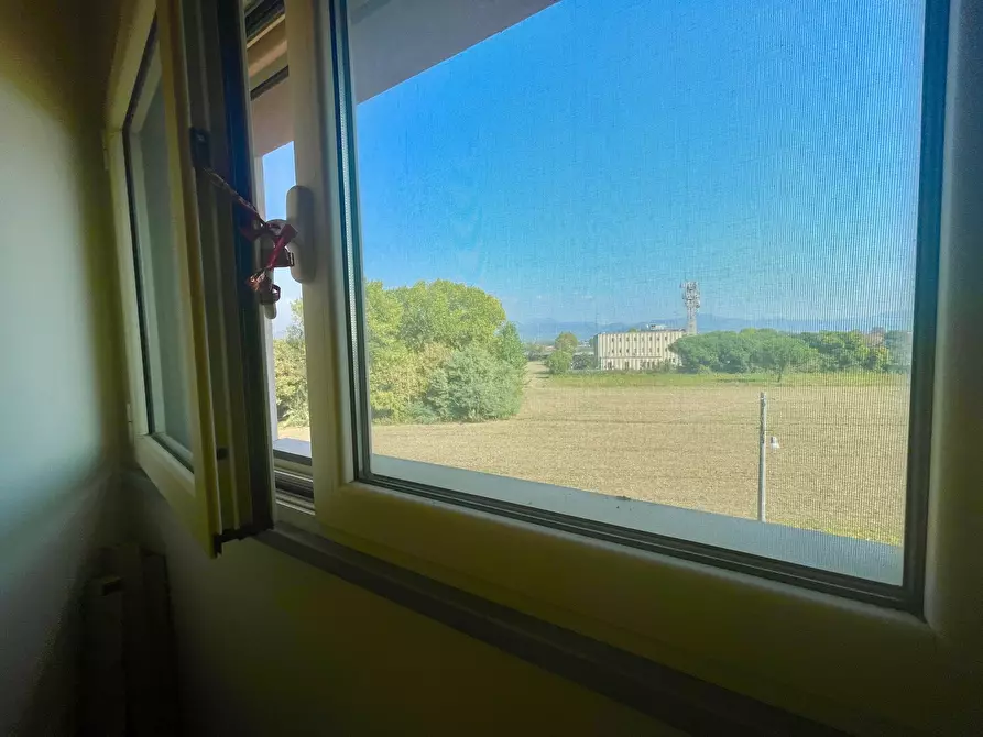 Immagine 33 di Quadrilocale in vendita  a Viareggio