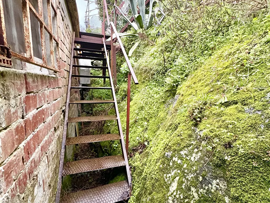 Immagine 32 di Terratetto in vendita  a Seravezza