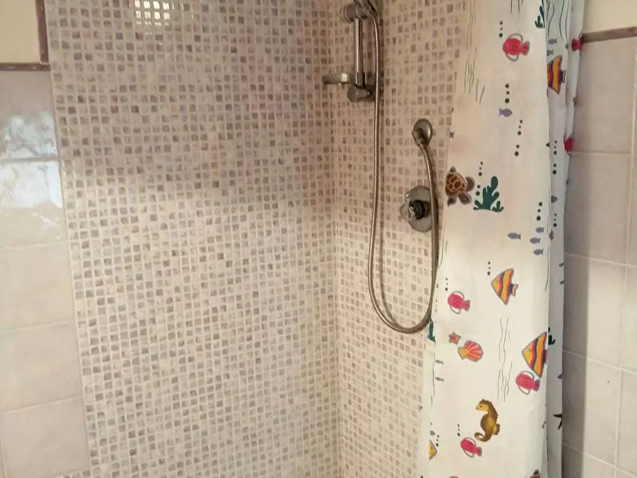 Immagine 35 di Porzione di casa in vendita  a Seravezza