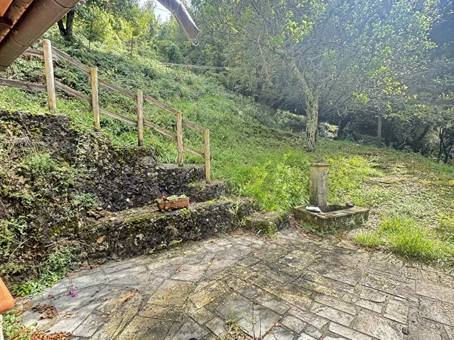 Immagine 29 di Rustico / casale in vendita  a Pietrasanta