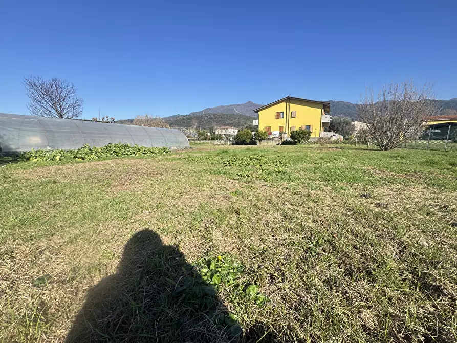 Immagine 7 di Terreno agricolo in vendita  a Pietrasanta